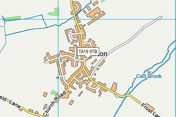 TA19 9TB map - OS VectorMap District (Ordnance Survey)