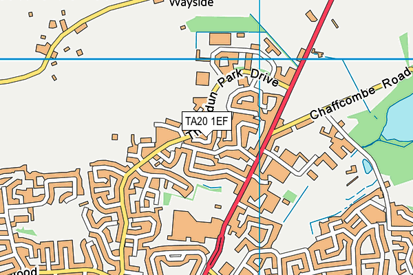 TA20 1EF map - OS VectorMap District (Ordnance Survey)