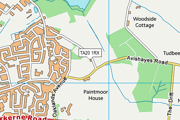 TA20 1RX map - OS VectorMap District (Ordnance Survey)