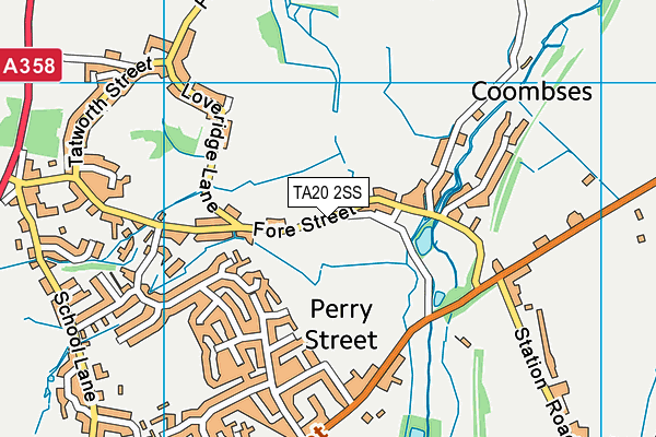 TA20 2SS map - OS VectorMap District (Ordnance Survey)