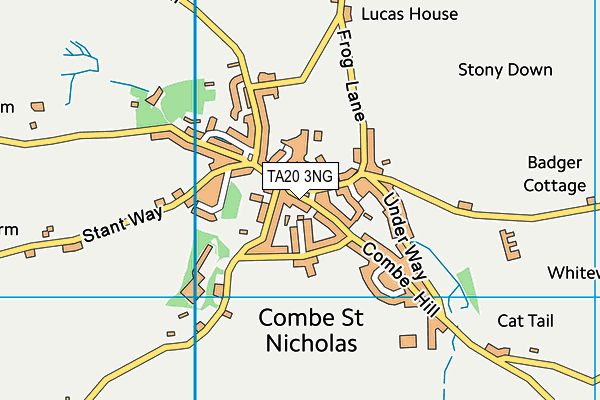 Combe St Nicholas Church of England VA Primary School map (TA20 3NG) - OS VectorMap District (Ordnance Survey)