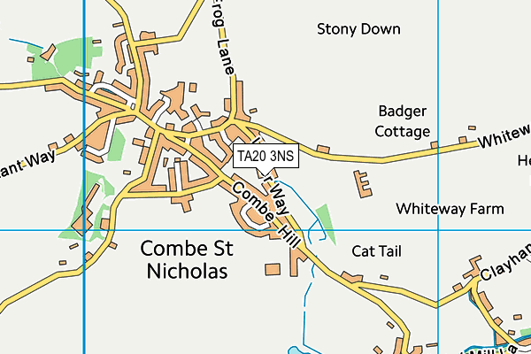 TA20 3NS map - OS VectorMap District (Ordnance Survey)