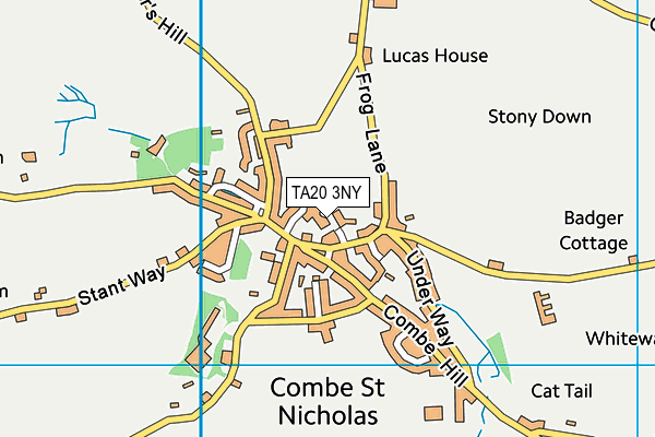 TA20 3NY map - OS VectorMap District (Ordnance Survey)