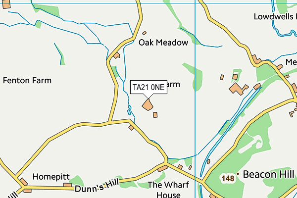 TA21 0NE map - OS VectorMap District (Ordnance Survey)