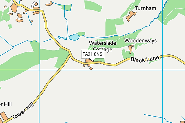 TA21 0NS map - OS VectorMap District (Ordnance Survey)