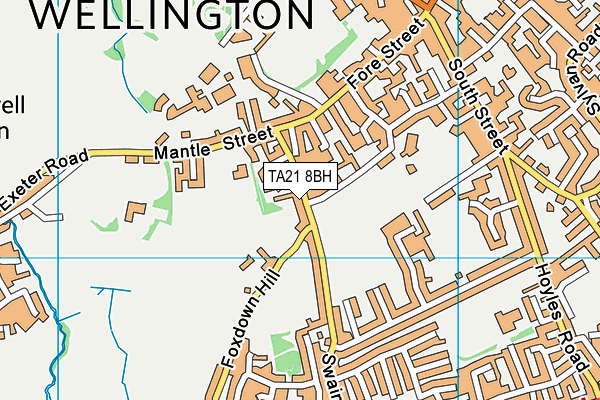 TA21 8BH map - OS VectorMap District (Ordnance Survey)