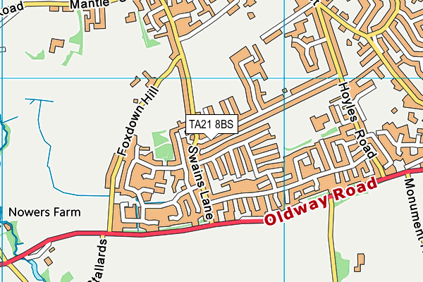 TA21 8BS map - OS VectorMap District (Ordnance Survey)
