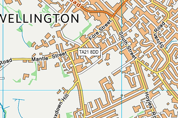 TA21 8DD map - OS VectorMap District (Ordnance Survey)