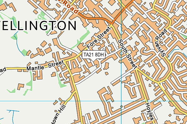 TA21 8DH map - OS VectorMap District (Ordnance Survey)