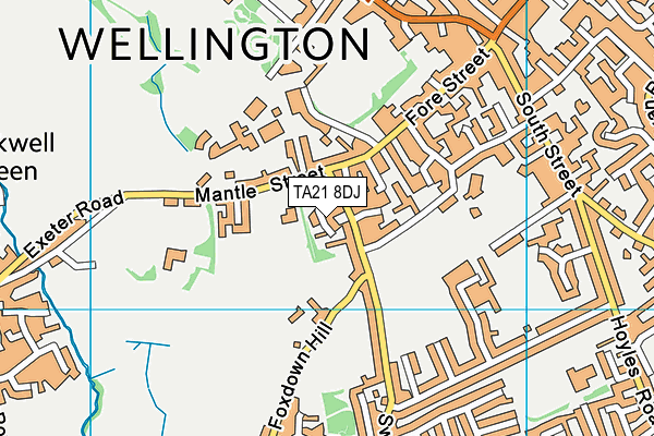 TA21 8DJ map - OS VectorMap District (Ordnance Survey)