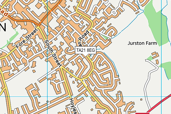 TA21 8EG map - OS VectorMap District (Ordnance Survey)