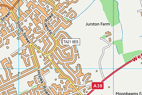 TA21 8ES map - OS VectorMap District (Ordnance Survey)