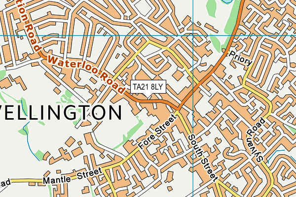 Wellington Playing Field map (TA21 8LY) - OS VectorMap District (Ordnance Survey)