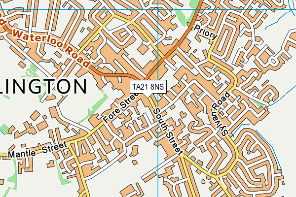 TA21 8NS map - OS VectorMap District (Ordnance Survey)
