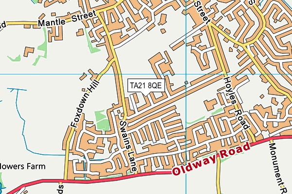TA21 8QE map - OS VectorMap District (Ordnance Survey)