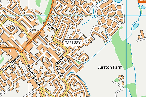 TA21 8SY map - OS VectorMap District (Ordnance Survey)