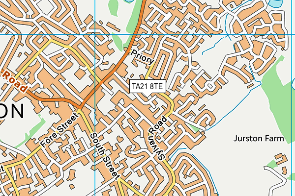 TA21 8TE map - OS VectorMap District (Ordnance Survey)