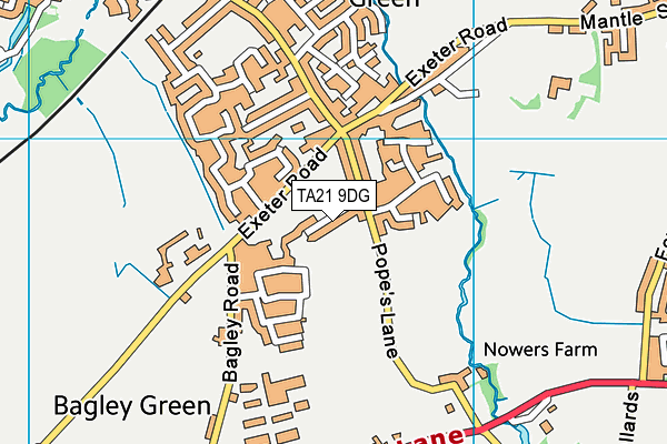 TA21 9DG map - OS VectorMap District (Ordnance Survey)