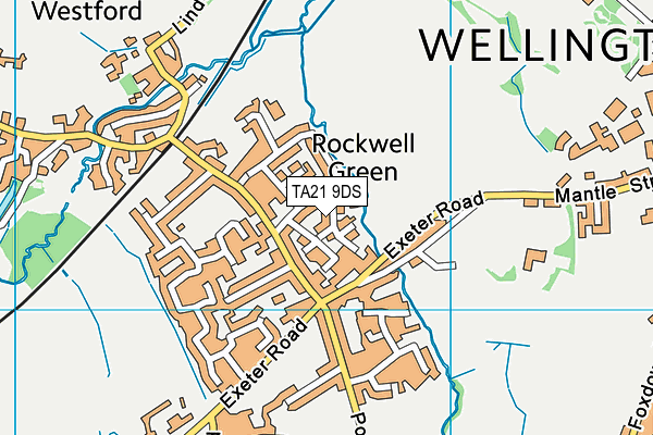 TA21 9DS map - OS VectorMap District (Ordnance Survey)