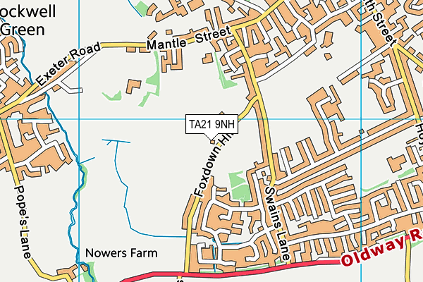 TA21 9NH map - OS VectorMap District (Ordnance Survey)