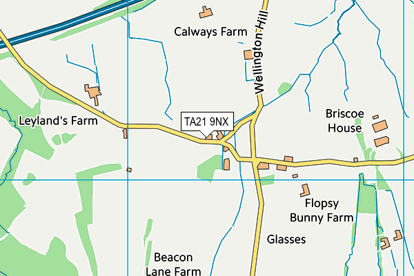 TA21 9NX map - OS VectorMap District (Ordnance Survey)