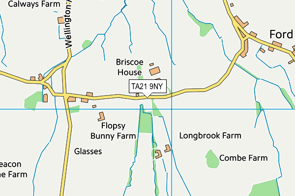 TA21 9NY map - OS VectorMap District (Ordnance Survey)