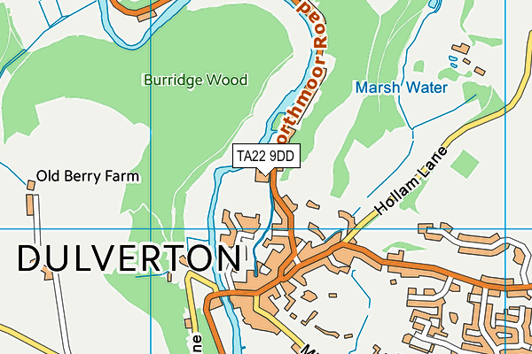 TA22 9DD map - OS VectorMap District (Ordnance Survey)