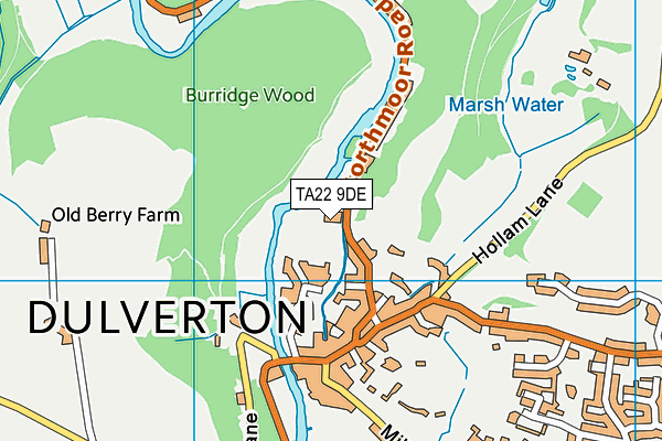 TA22 9DE map - OS VectorMap District (Ordnance Survey)