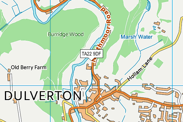 TA22 9DF map - OS VectorMap District (Ordnance Survey)