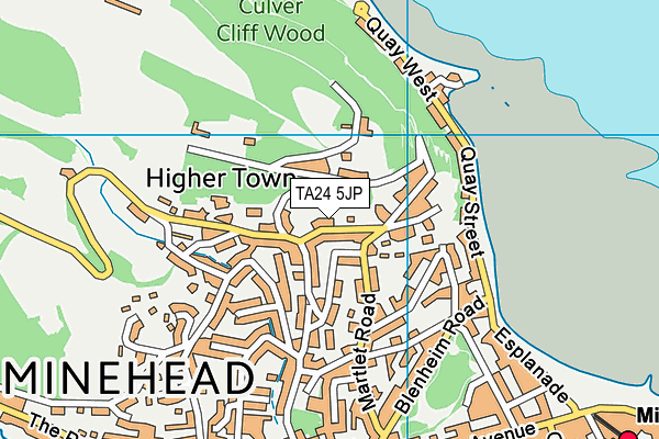 TA24 5JP map - OS VectorMap District (Ordnance Survey)