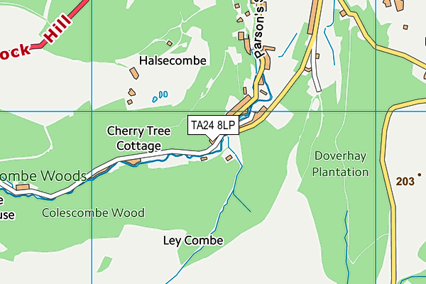 TA24 8LP map - OS VectorMap District (Ordnance Survey)