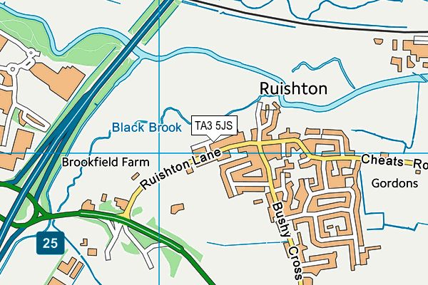 TA3 5JS map - OS VectorMap District (Ordnance Survey)