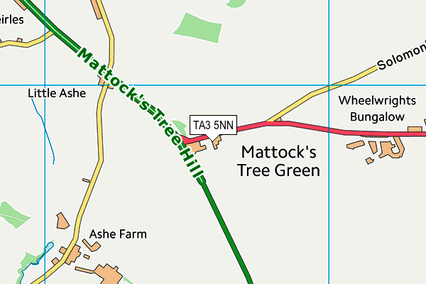 TA3 5NN map - OS VectorMap District (Ordnance Survey)