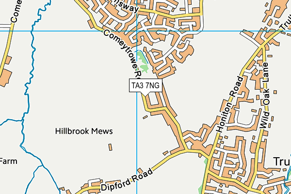 TA3 7NG map - OS VectorMap District (Ordnance Survey)