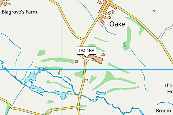 Oake Manor Golf Club map (TA4 1BA) - OS VectorMap District (Ordnance Survey)