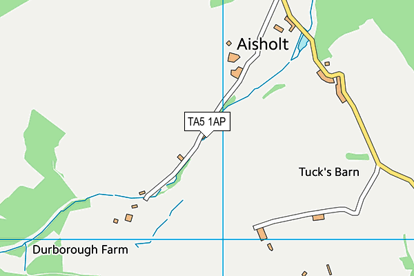 TA5 1AP map - OS VectorMap District (Ordnance Survey)