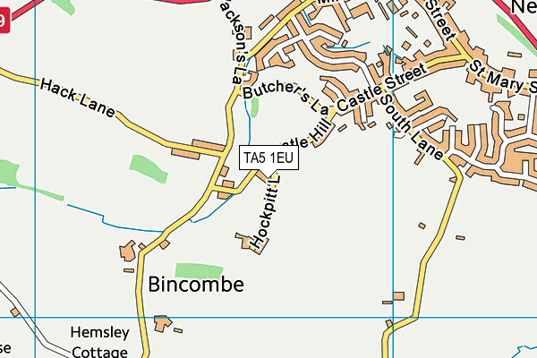 TA5 1EU map - OS VectorMap District (Ordnance Survey)