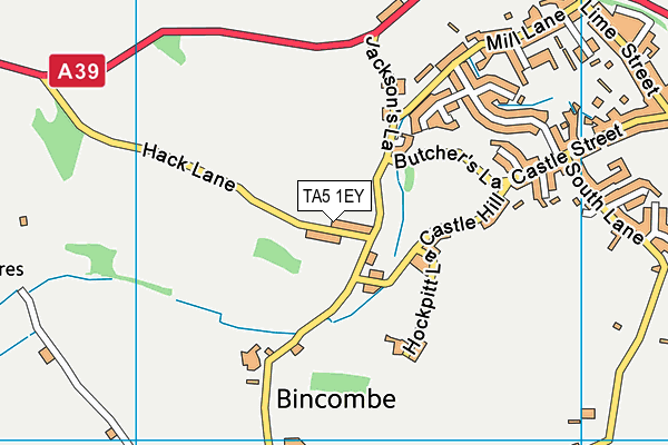 TA5 1EY map - OS VectorMap District (Ordnance Survey)