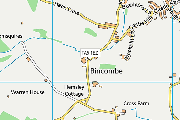 TA5 1EZ map - OS VectorMap District (Ordnance Survey)