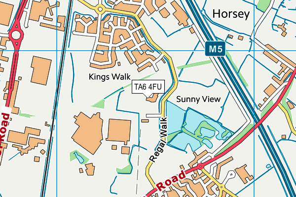 Willowdown Primary School map (TA6 4FU) - OS VectorMap District (Ordnance Survey)
