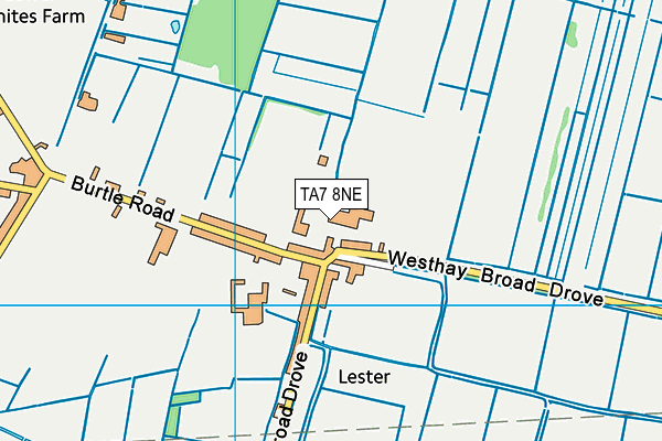 TA7 8NE map - OS VectorMap District (Ordnance Survey)