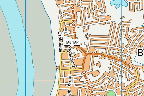 TA8 1AP map - OS VectorMap District (Ordnance Survey)