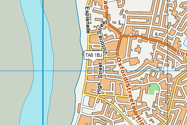 TA8 1BJ map - OS VectorMap District (Ordnance Survey)