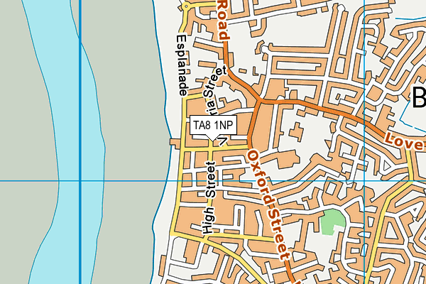 TA8 1NP map - OS VectorMap District (Ordnance Survey)