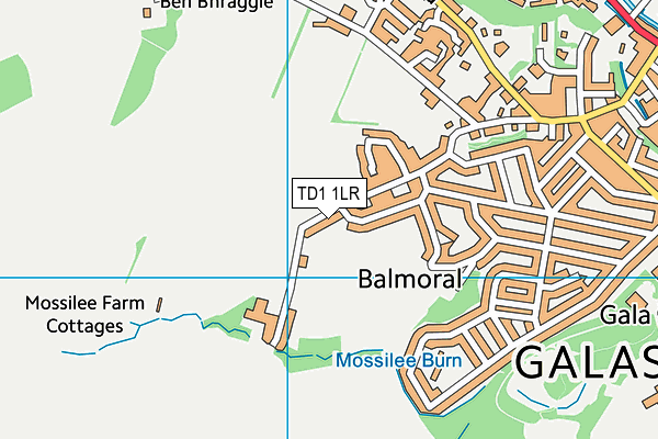 TD1 1LR map - OS VectorMap District (Ordnance Survey)