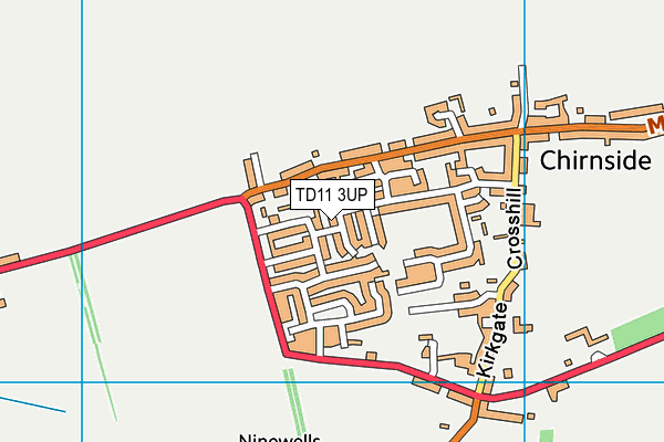 TD11 3UP map - OS VectorMap District (Ordnance Survey)