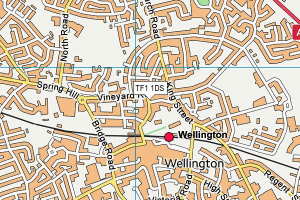 TF1 1DS map - OS VectorMap District (Ordnance Survey)