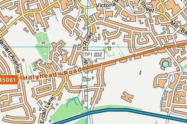 TF1 2DZ map - OS VectorMap District (Ordnance Survey)