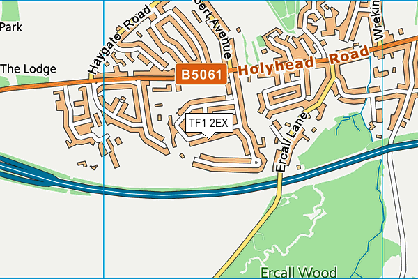 TF1 2EX map - OS VectorMap District (Ordnance Survey)