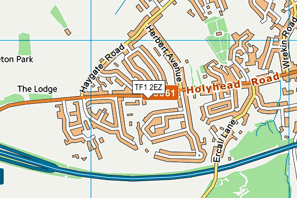TF1 2EZ map - OS VectorMap District (Ordnance Survey)